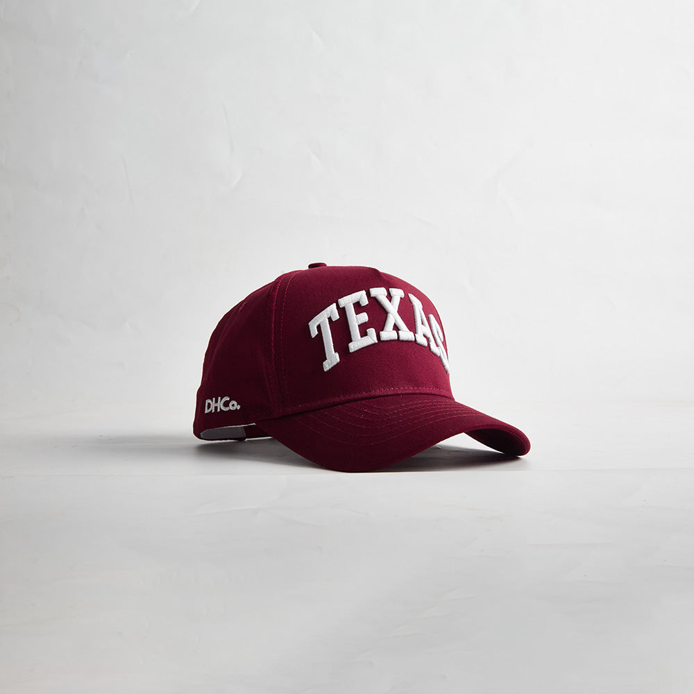 The State of Texas Legacy Snapback