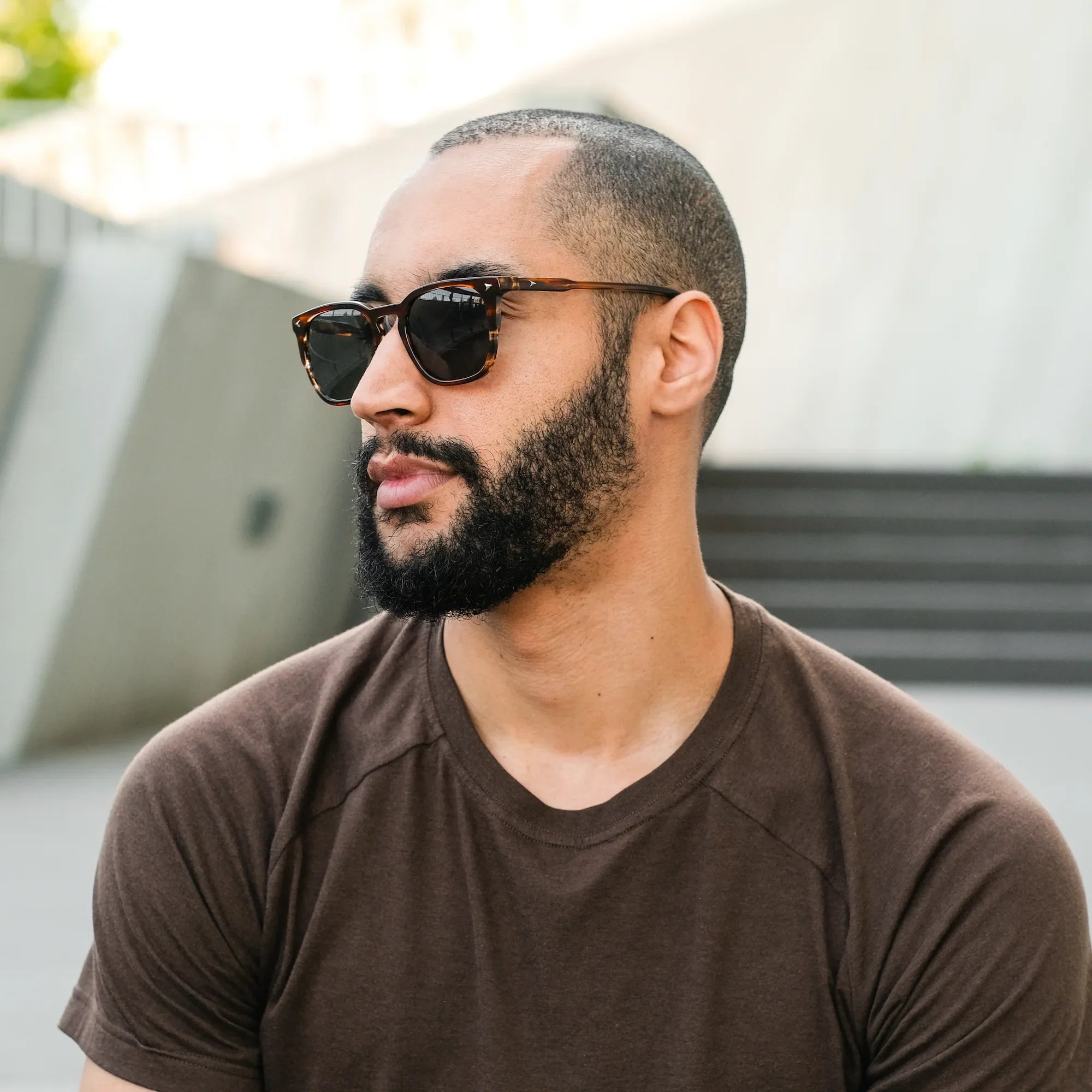 The Echo Premium Acetate Sunglasses in Brown Horn