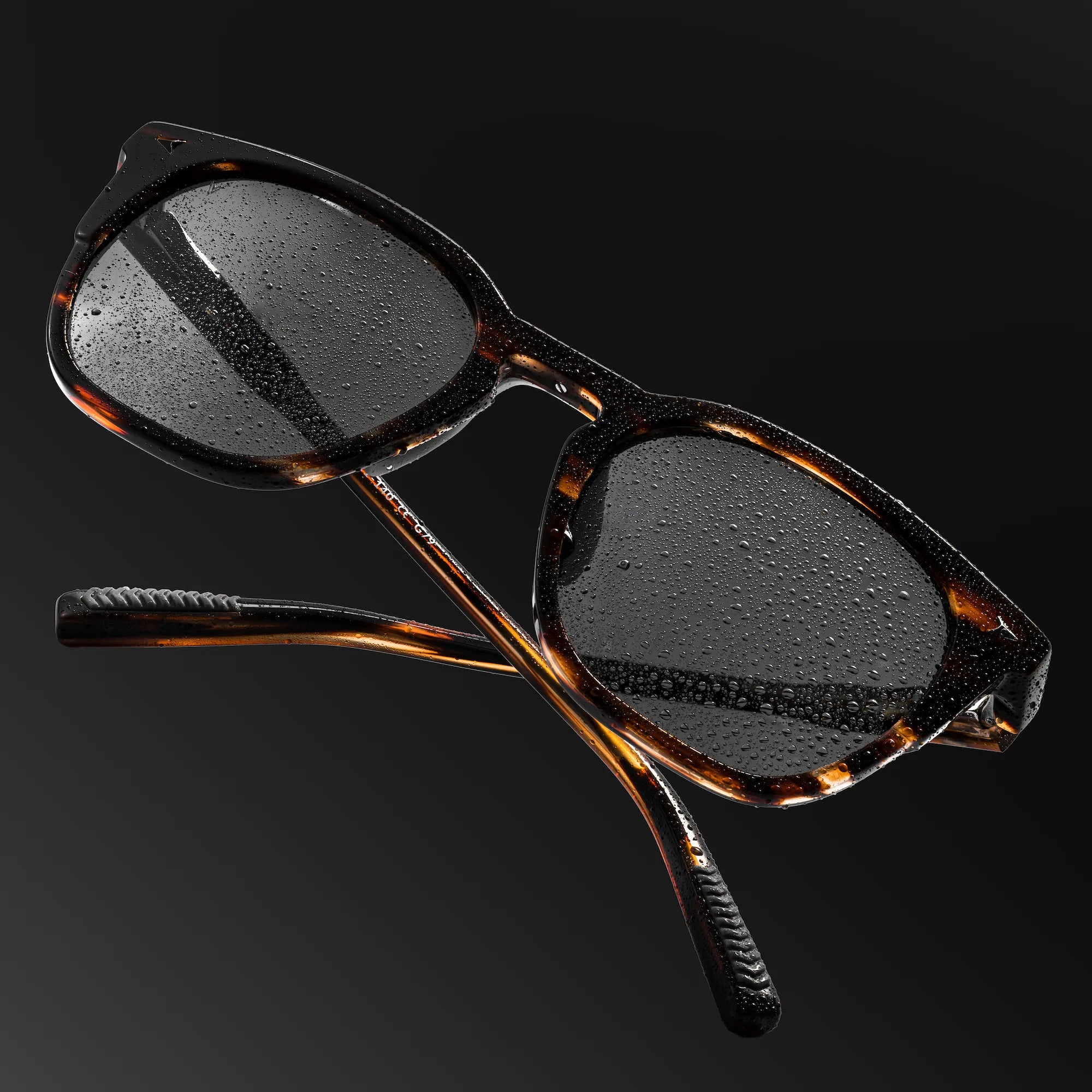 The Echo Premium Acetate Sunglasses in Brown Horn