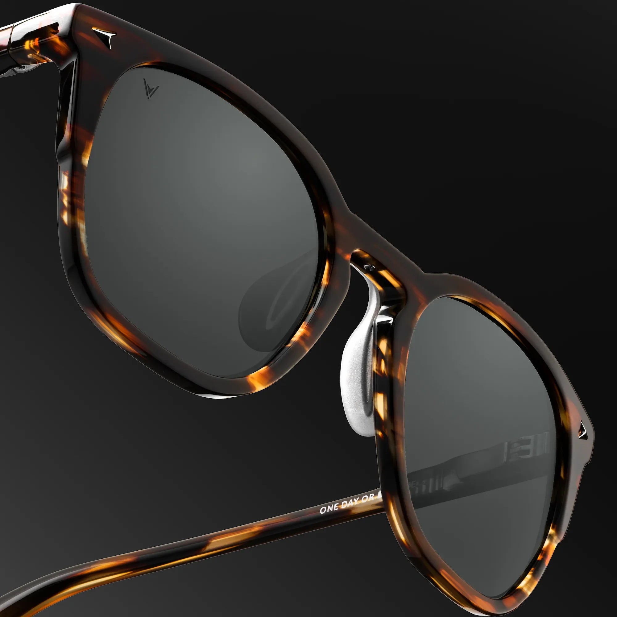 The Echo Premium Acetate Sunglasses in Brown Horn