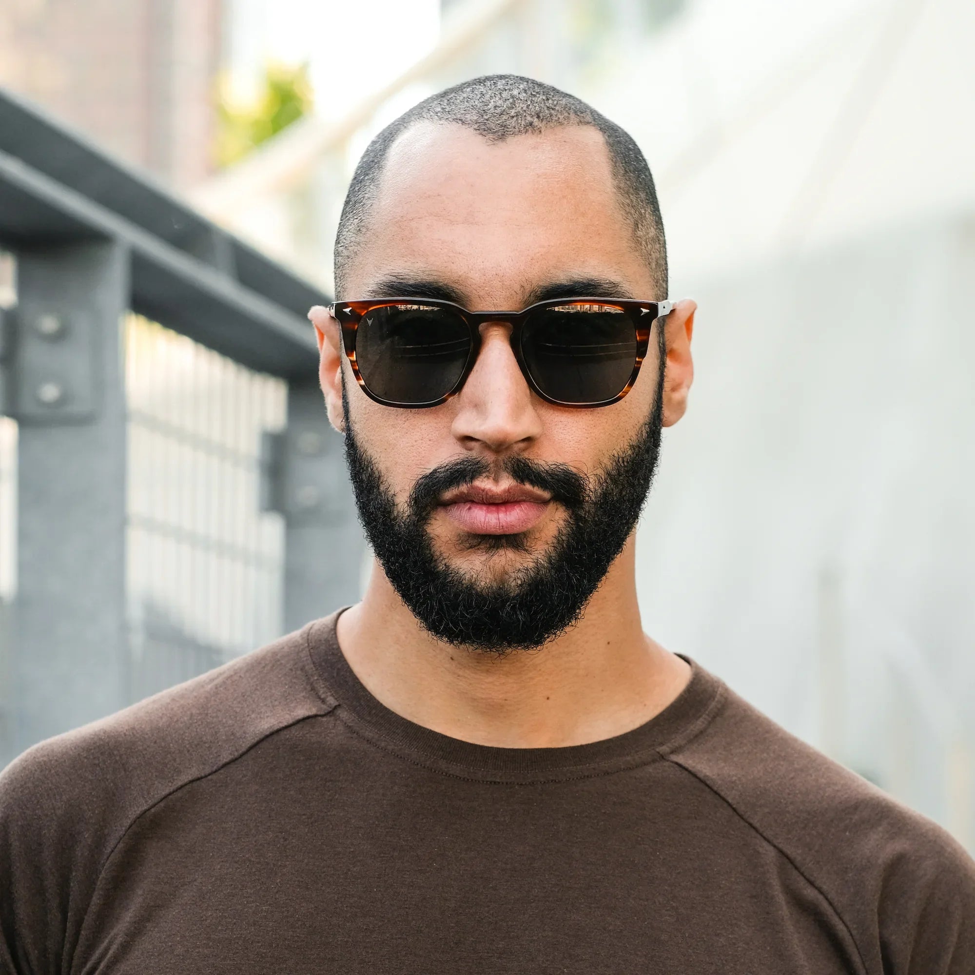 The Echo Premium Acetate Sunglasses in Brown Horn
