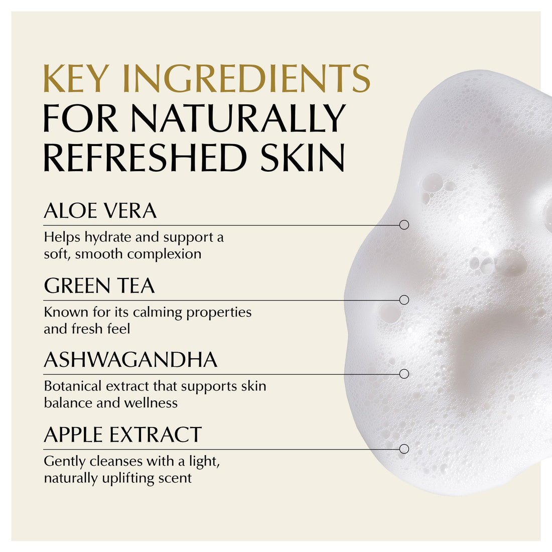 Gentle Foaming Facial Cleanser – Aloe, Apple & Ashwagandha for All Skin Types