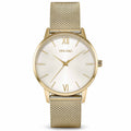 Vincero Collective Eros Mesh Petite watch in gold with a satin finish mesh strap