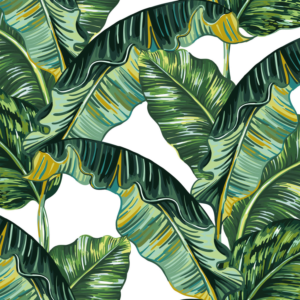 Eva Wallpaper in Green and White