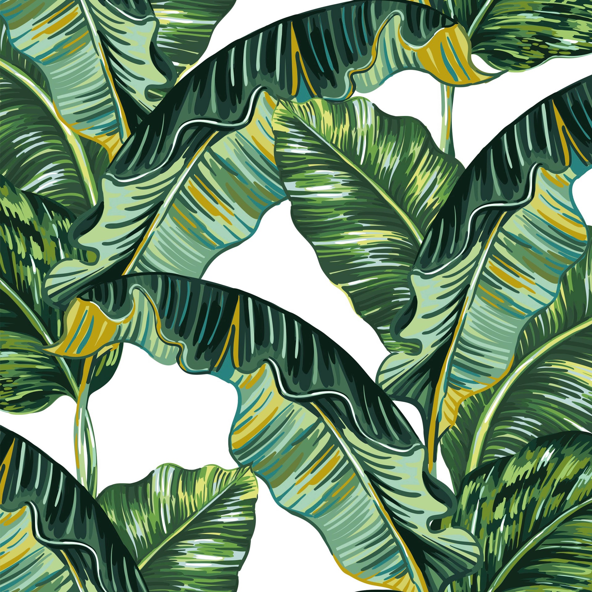 Eva Wallpaper in Green and White
