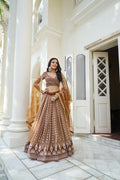 Brown butterfly net lehenga choli with white embroidery and sequence accents