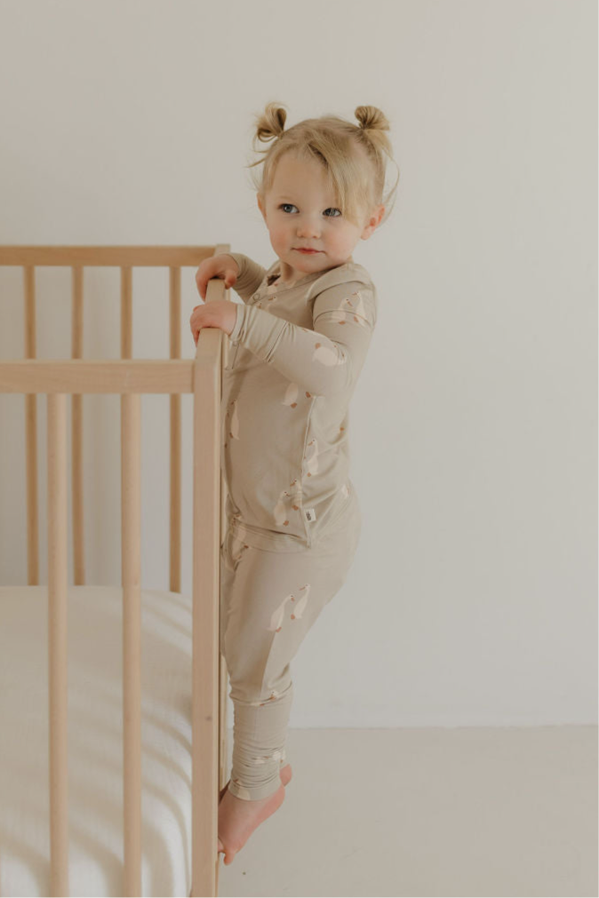 Bamboo Two Piece Pajamas | Silly Goose