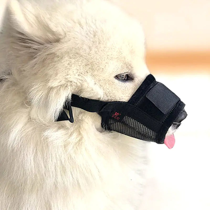 Dog Bite-Proof Mouthpiece and Furniture Protective Cover