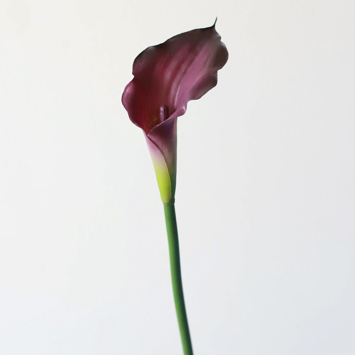 Classic Calla Lily Stem – 26"