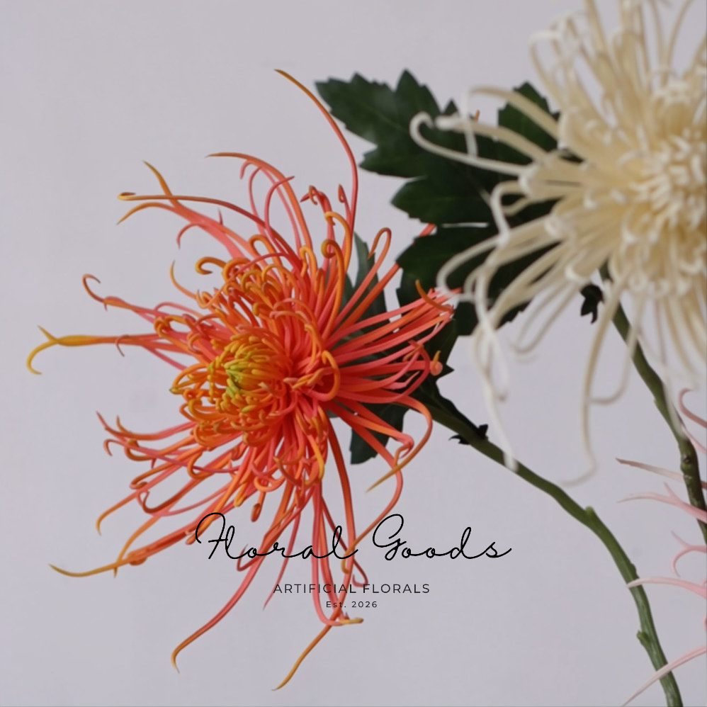 Firework Spider Chrysanthemum Stem – 28.3"