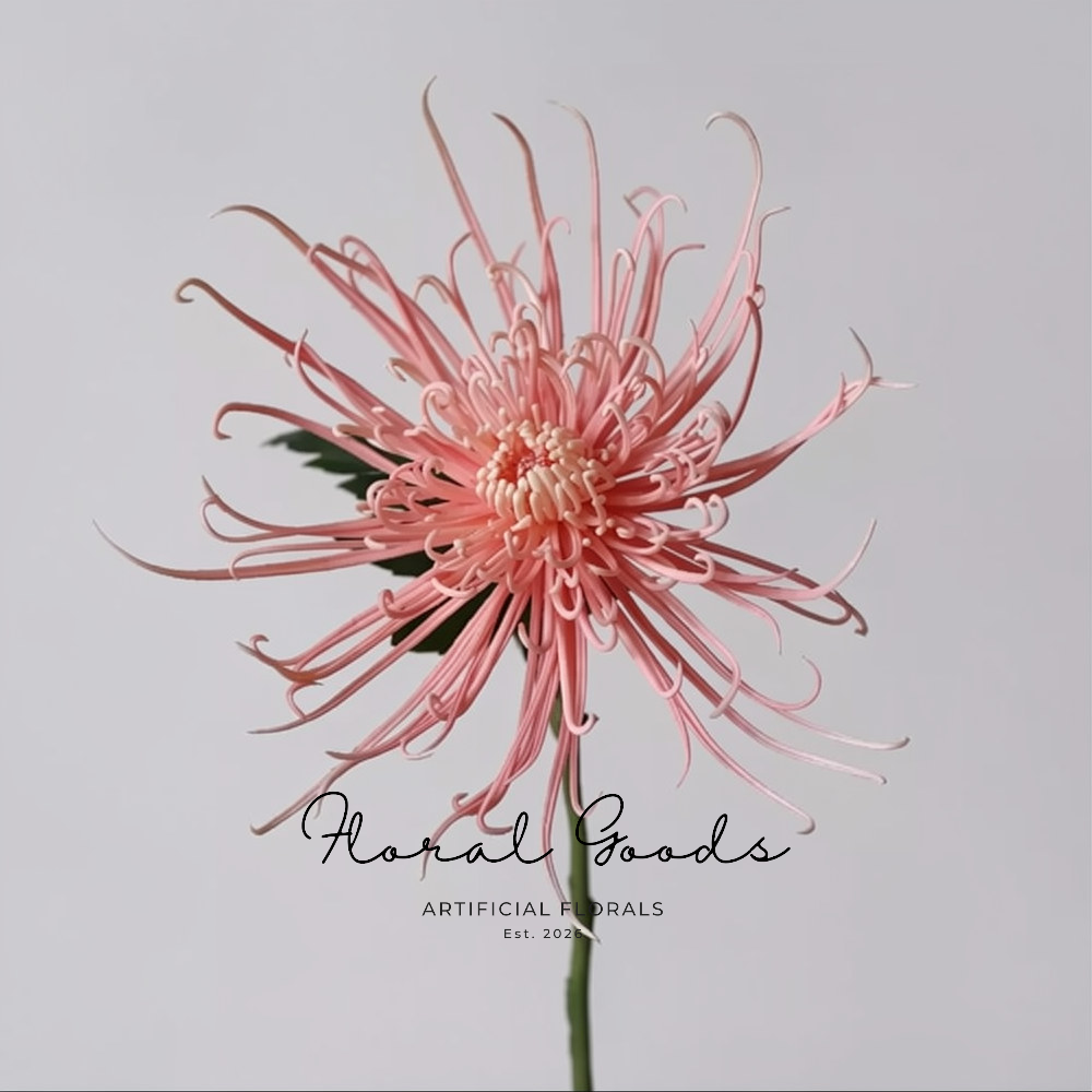 Firework Spider Chrysanthemum Stem – 28.3"