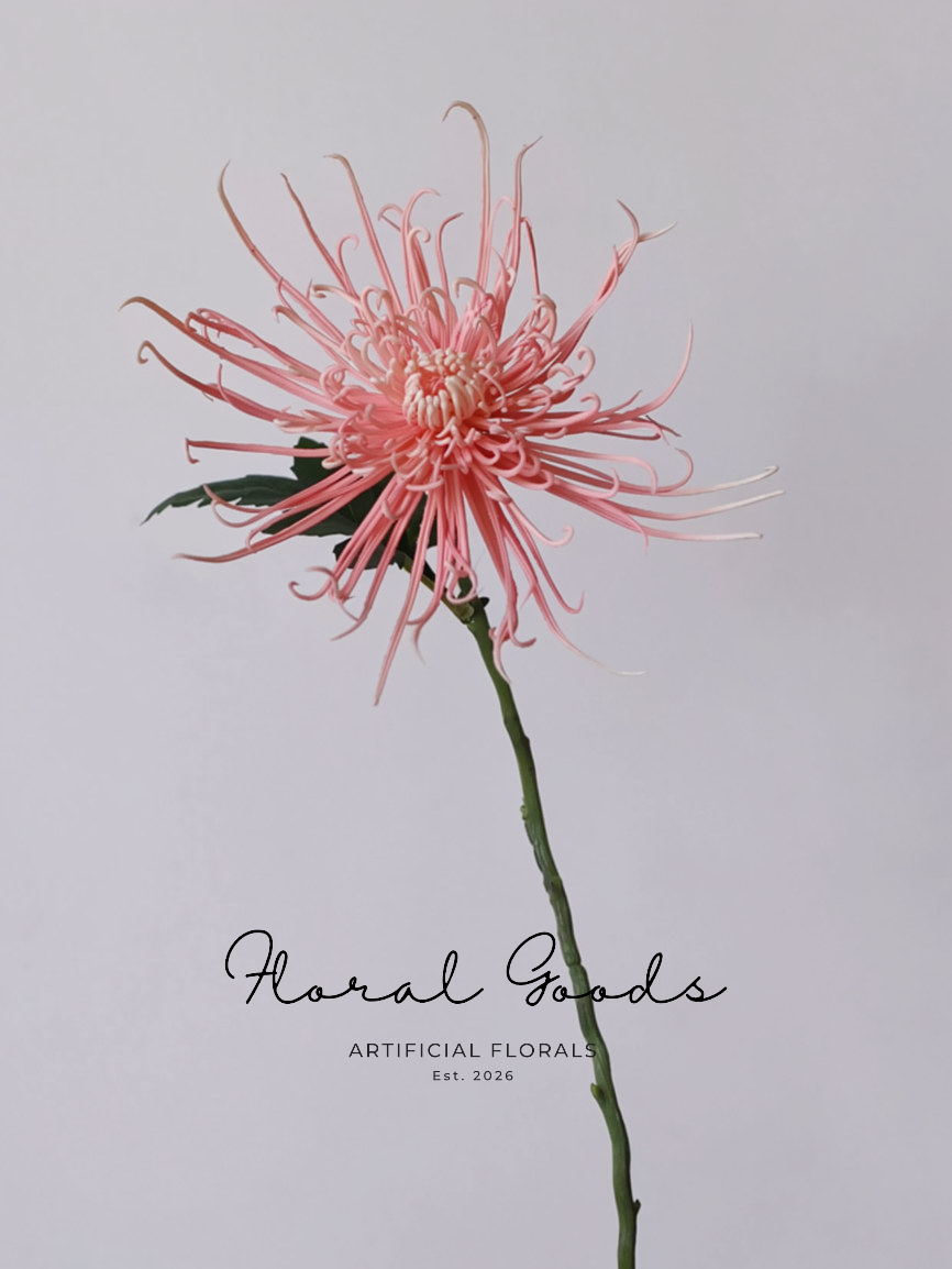Firework Spider Chrysanthemum Stem – 28.3"