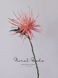 Firework Spider Chrysanthemum Stem – 28.3"