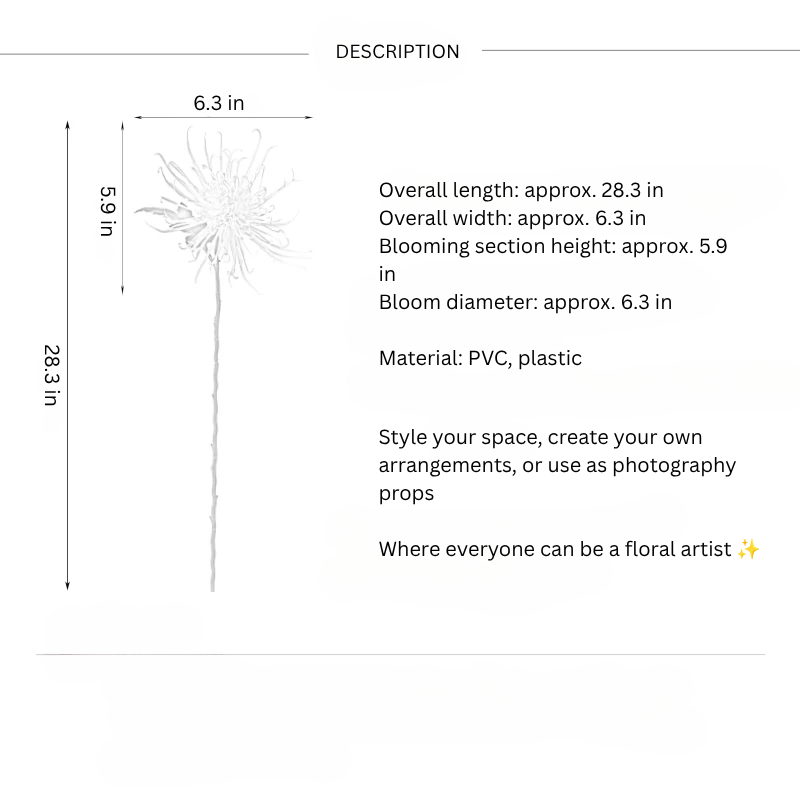 Firework Spider Chrysanthemum Stem – 28.3"