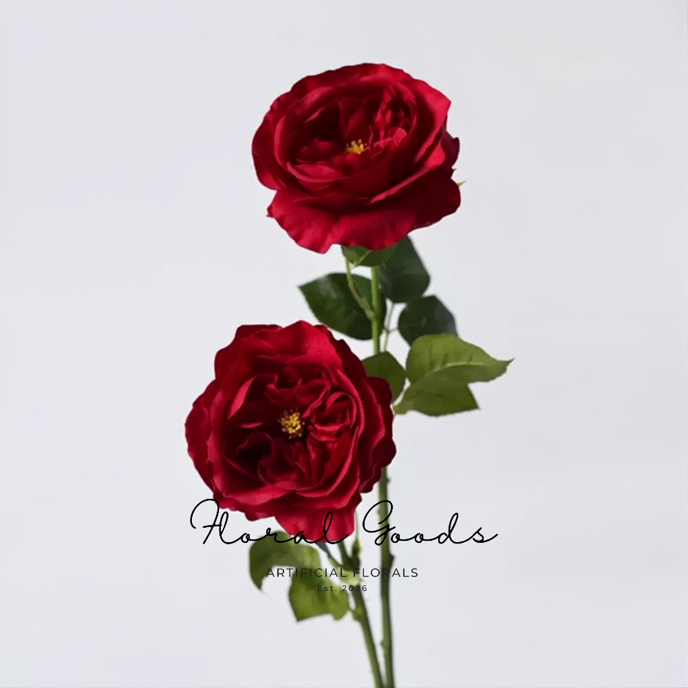 Florentina Rose Stem – 25.6"