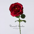 Florentina Rose Stem – 25.6"