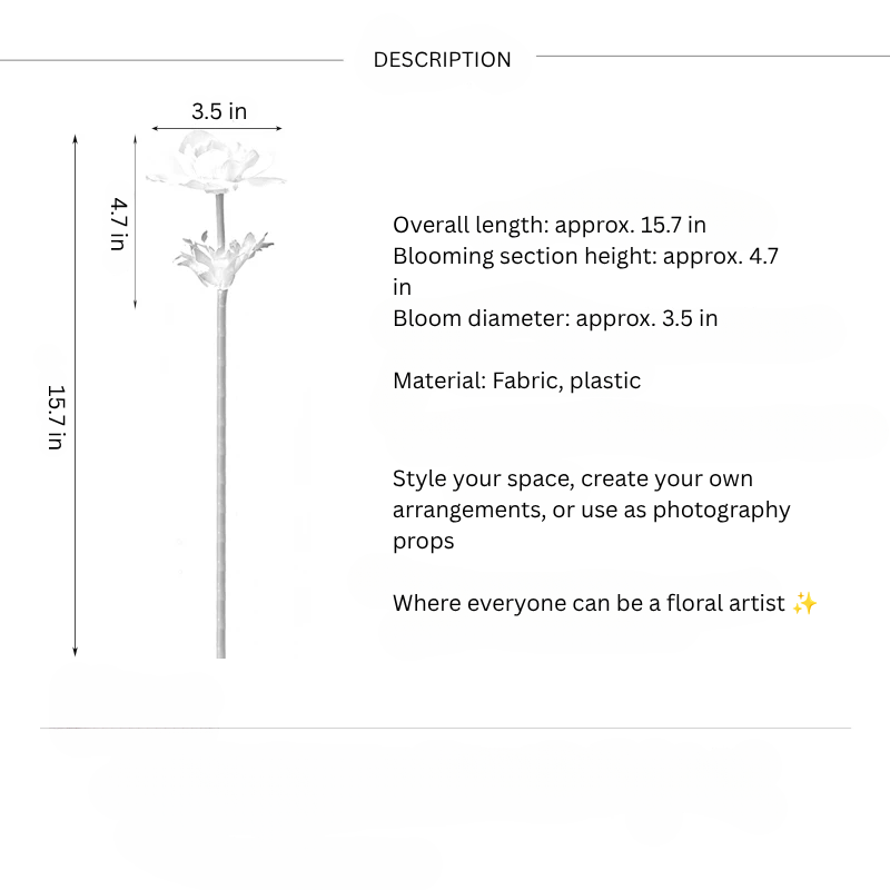 Graceful Anemone Stem – 15.7"
