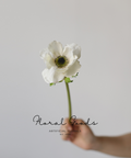 Graceful Anemone Stem – 15.7"