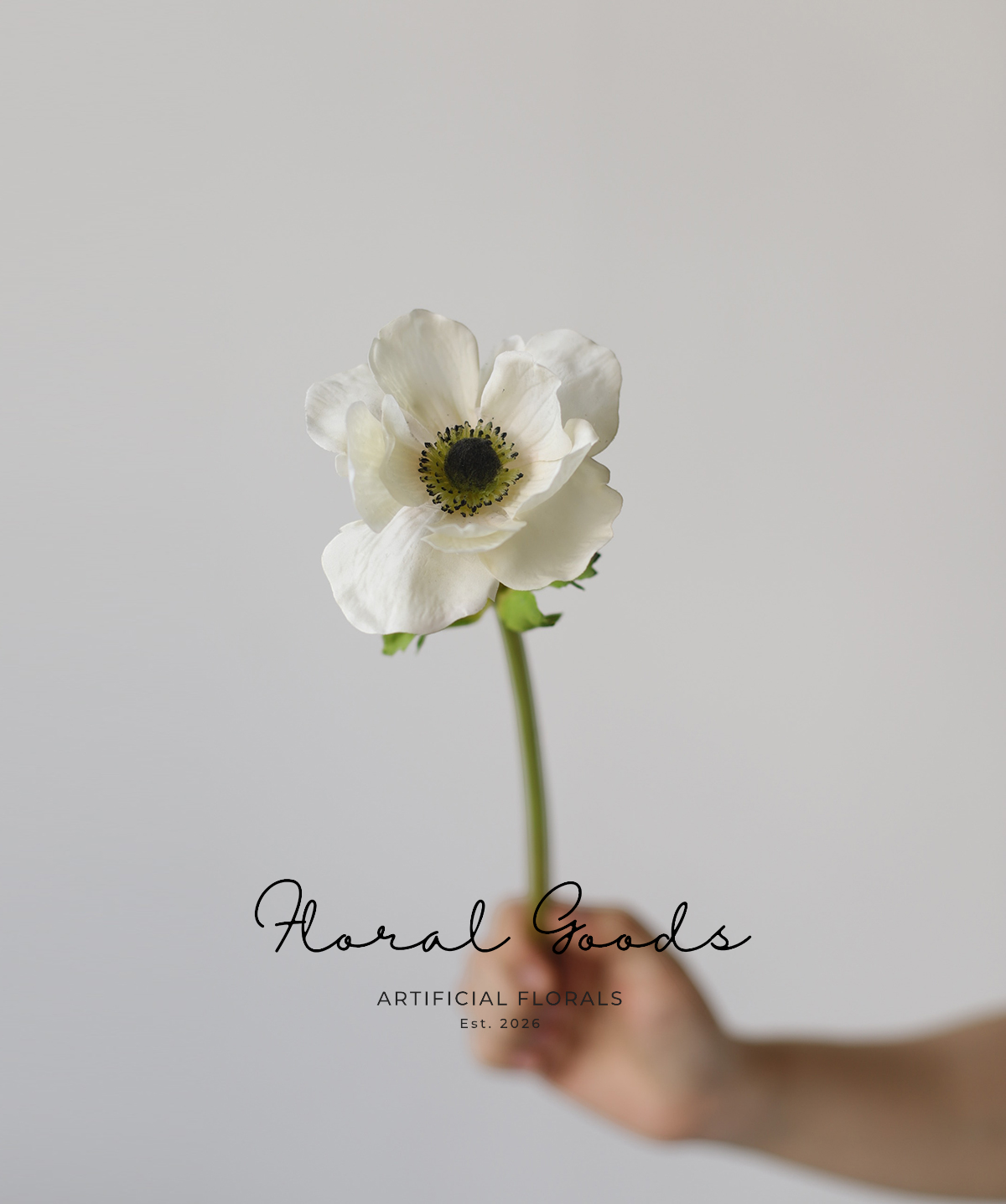 Graceful Anemone Stem – 15.7"