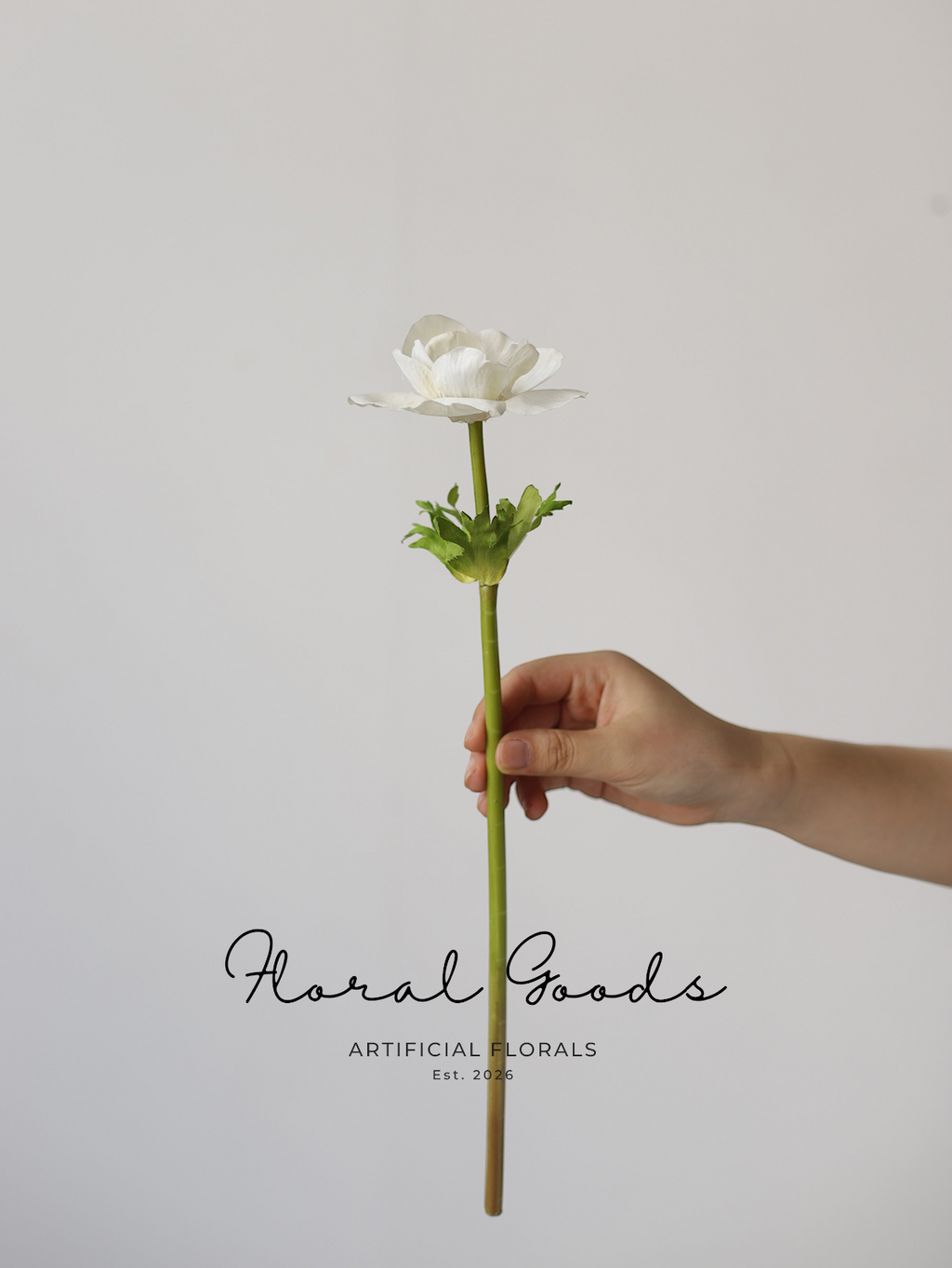 Graceful Anemone Stem – 15.7"