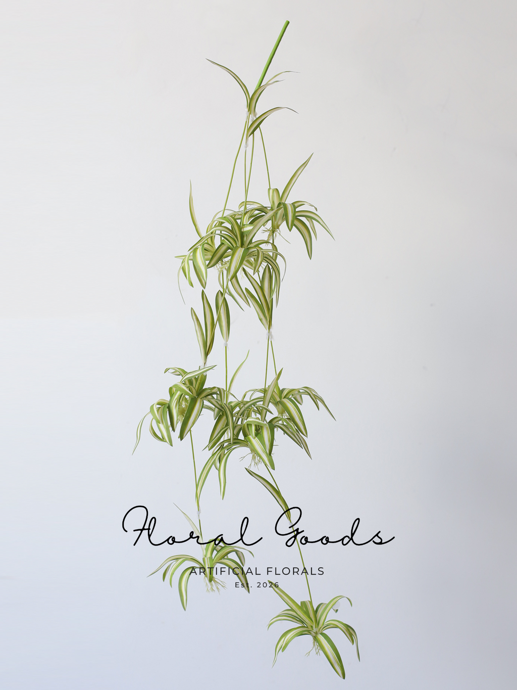 Hanging Spider Plant Spray – 31.5"