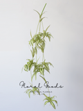 Hanging Spider Plant Spray – 31.5"