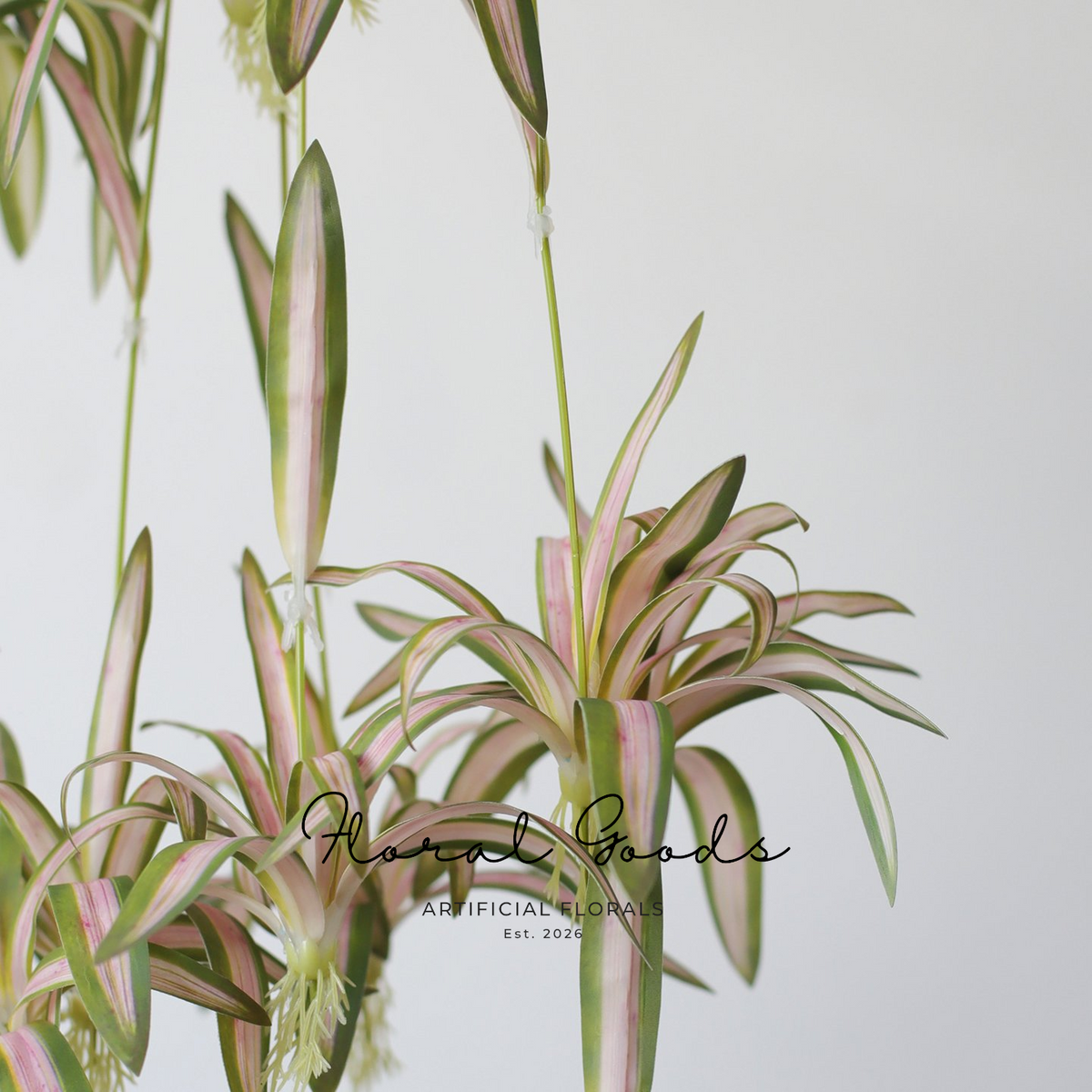 Hanging Spider Plant Spray – 31.5"