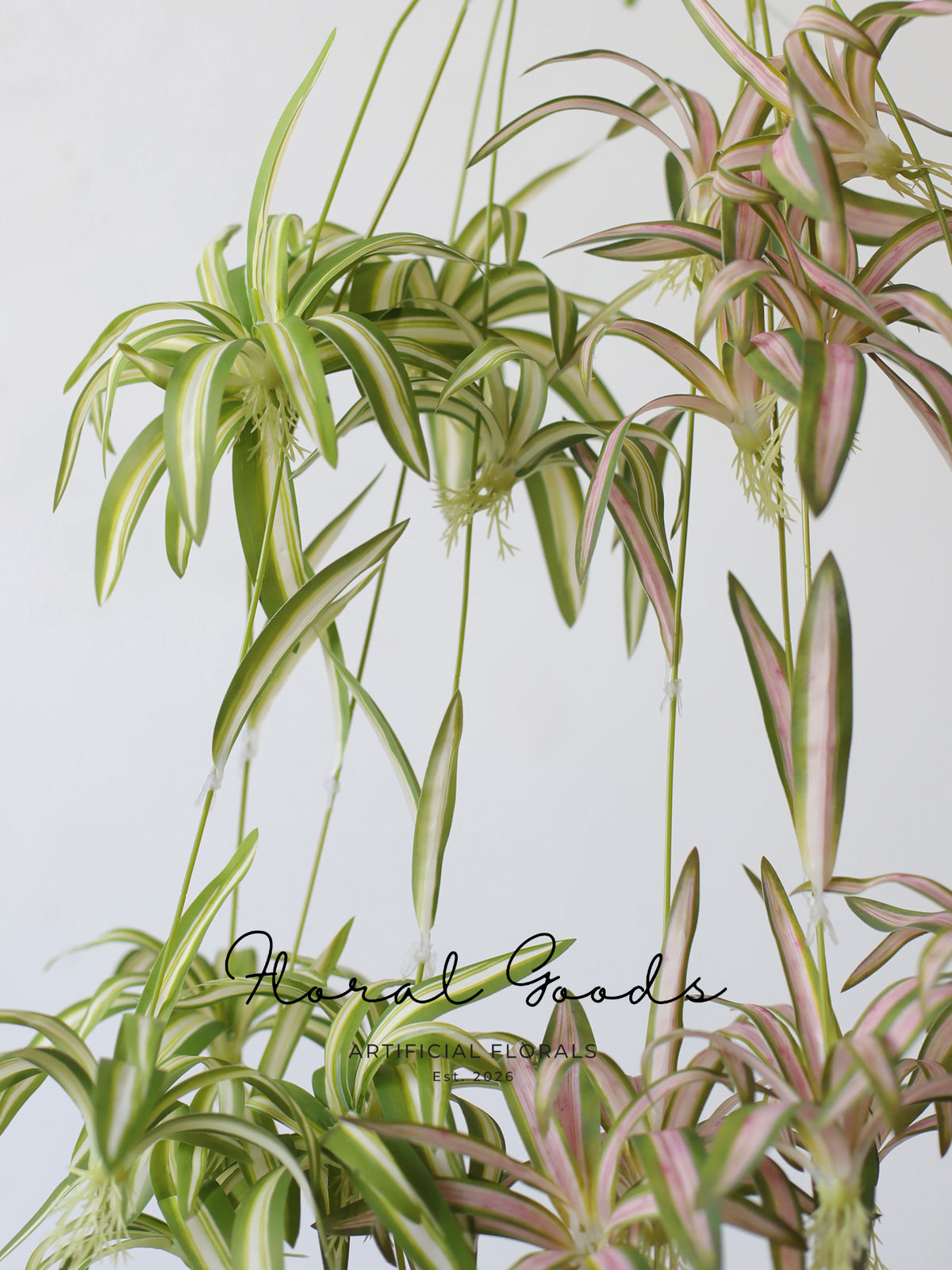 Hanging Spider Plant Spray – 31.5"