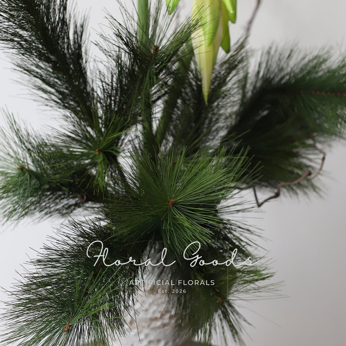 Japanese Pine Branch – 37.4"