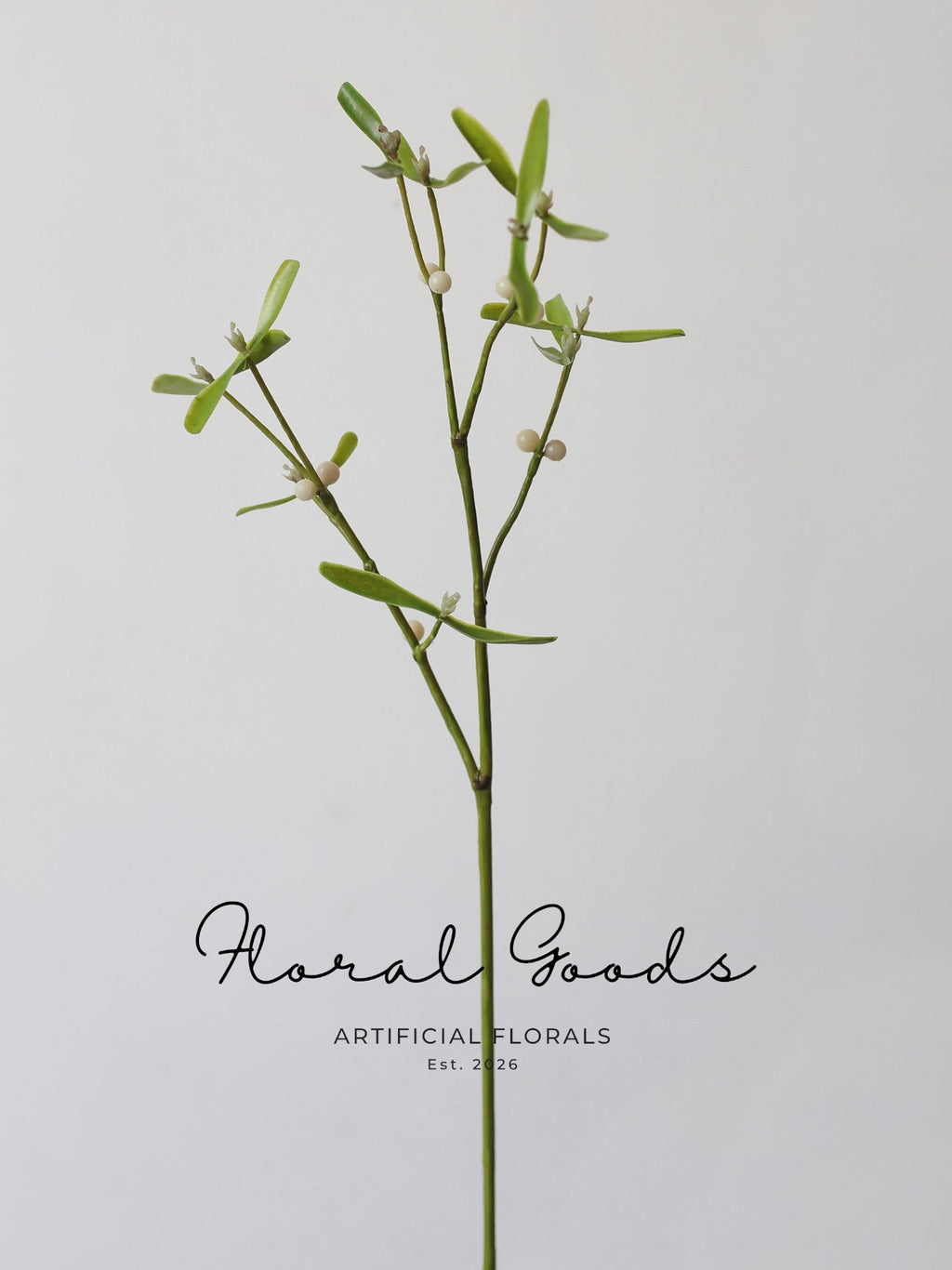 Meadow Mistletoe Branch – 23.6"