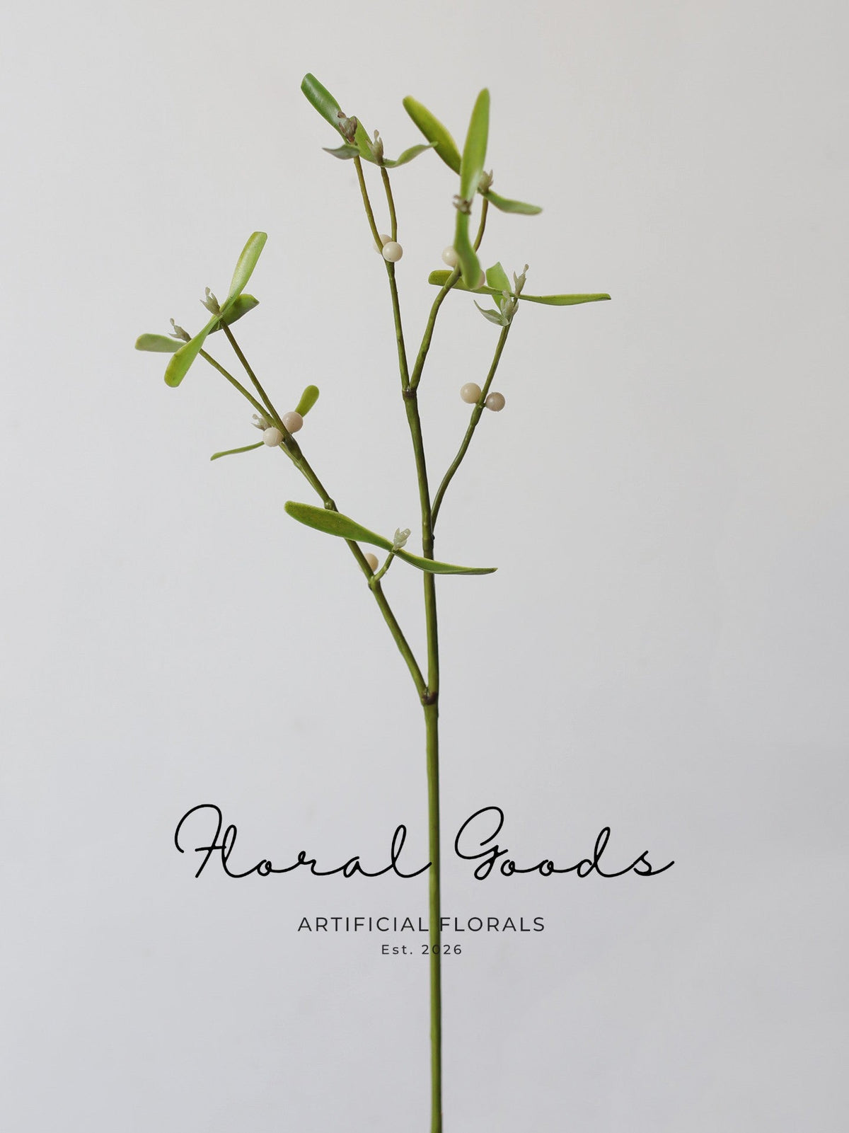 Meadow Mistletoe Branch – 23.6"