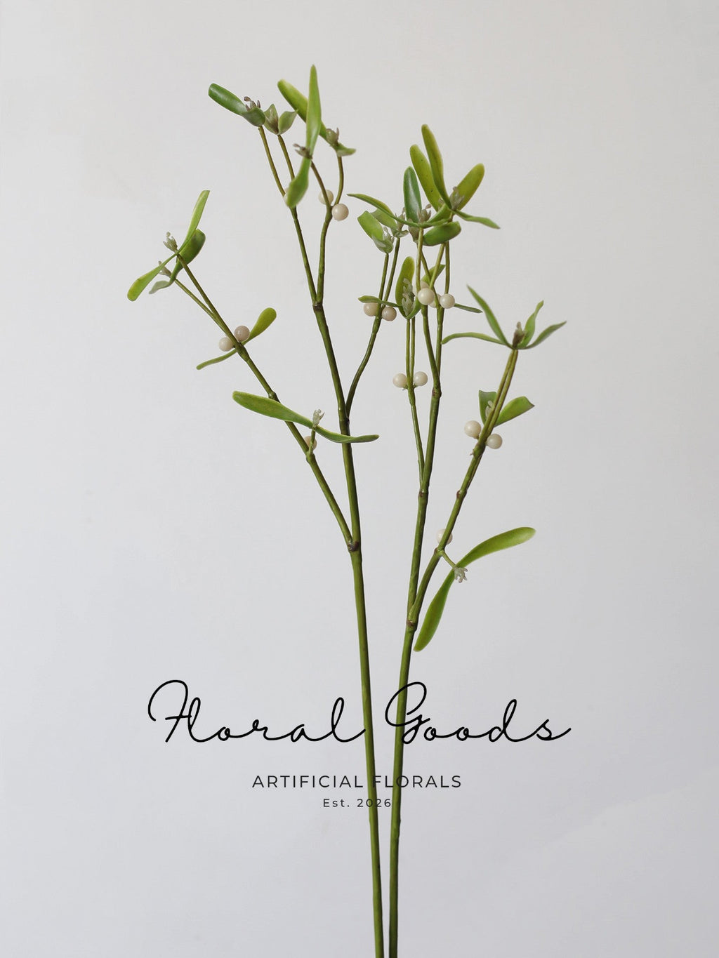Meadow Mistletoe Branch – 23.6"