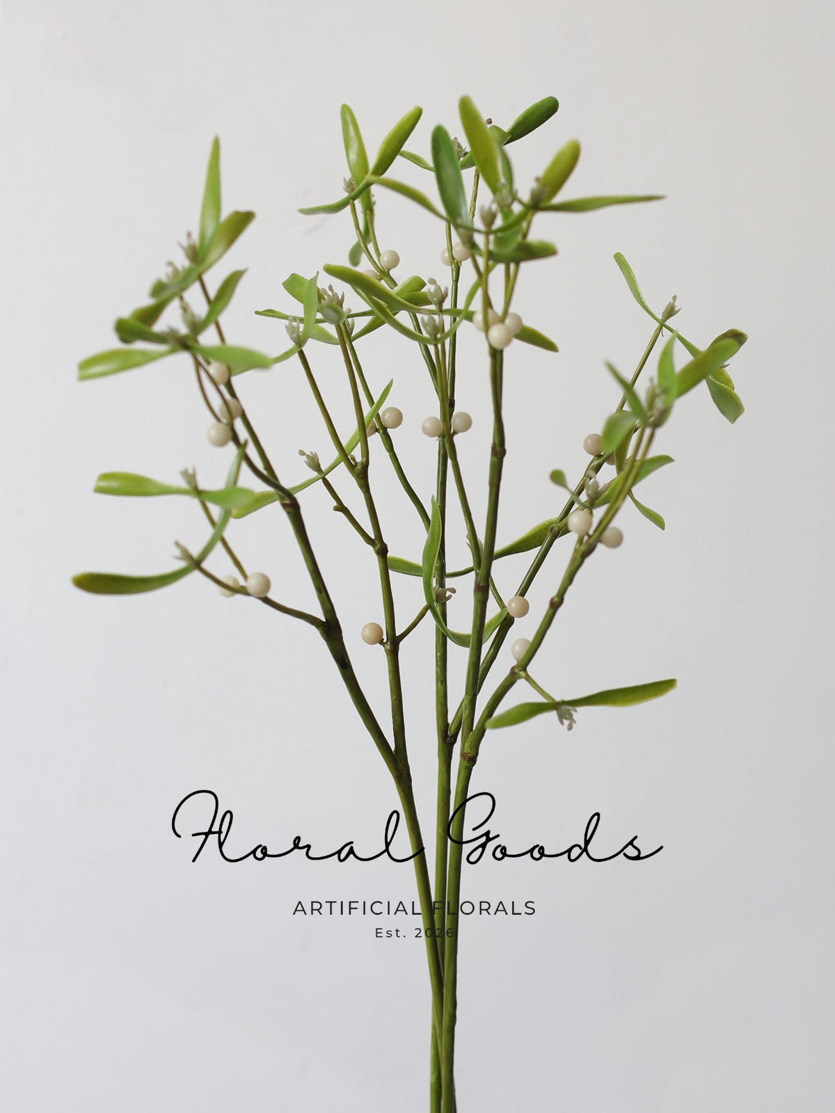 Meadow Mistletoe Branch – 23.6"