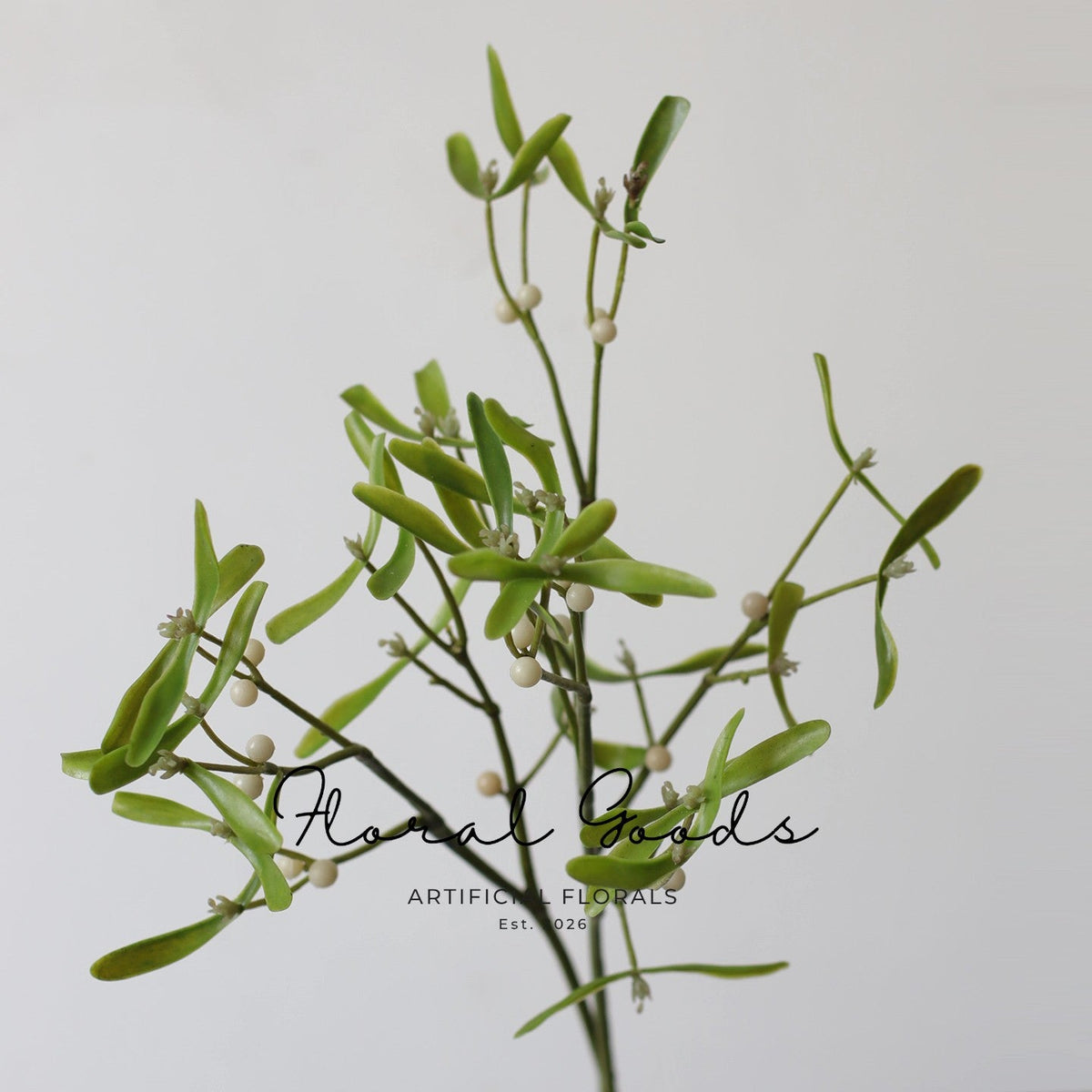 Meadow Mistletoe Branch – 23.6"