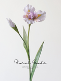 Whimsical Iris Stem – 29.9"