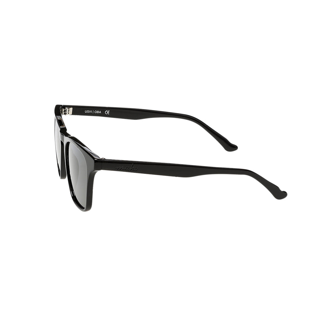 Fairhope Charcoal Wayfarer-Inspired Sunglasses
