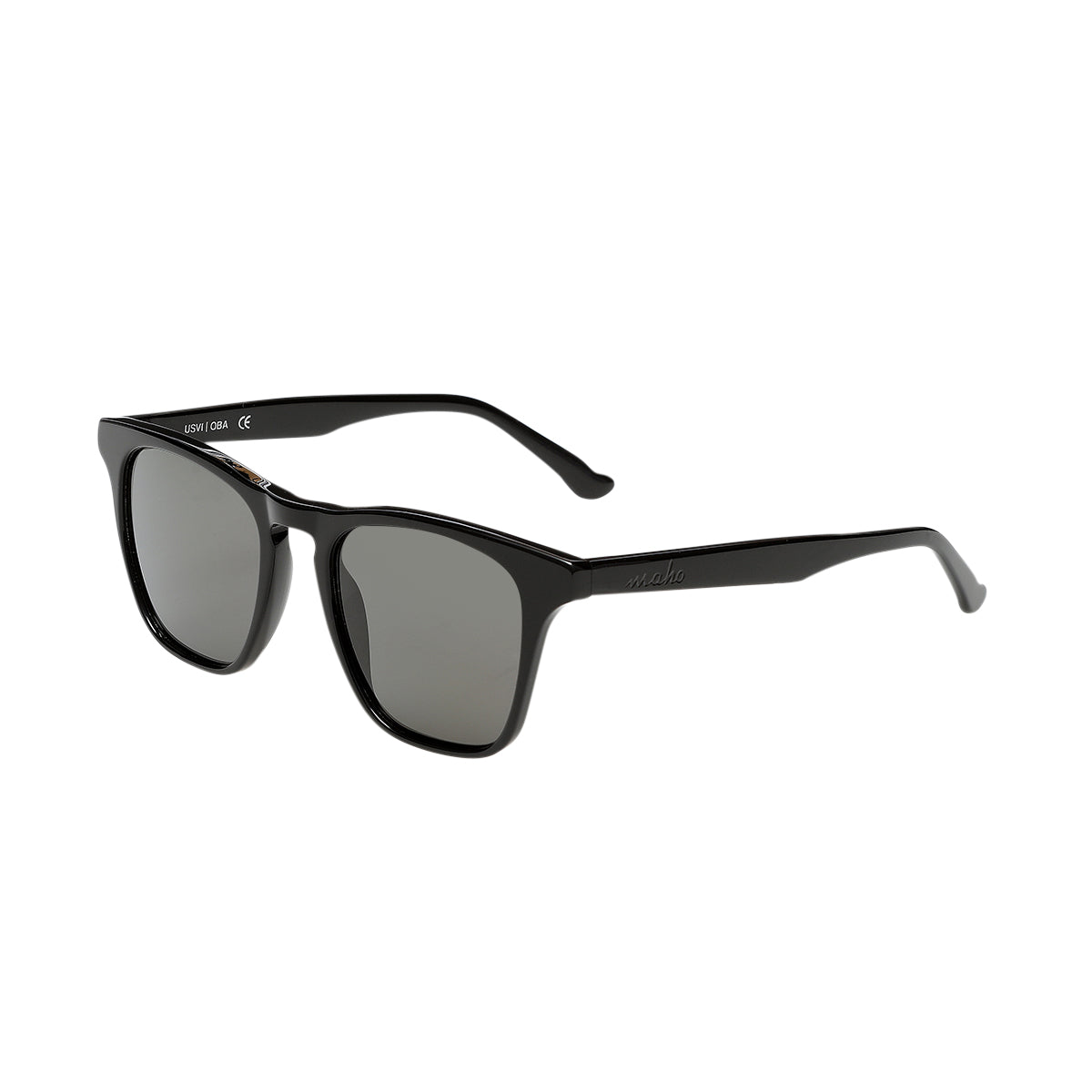 Fairhope Charcoal Wayfarer-Inspired Sunglasses