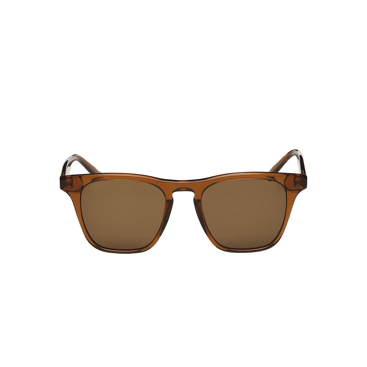 Fairhope Rootbeer Classic Wayfarer Sunglasses