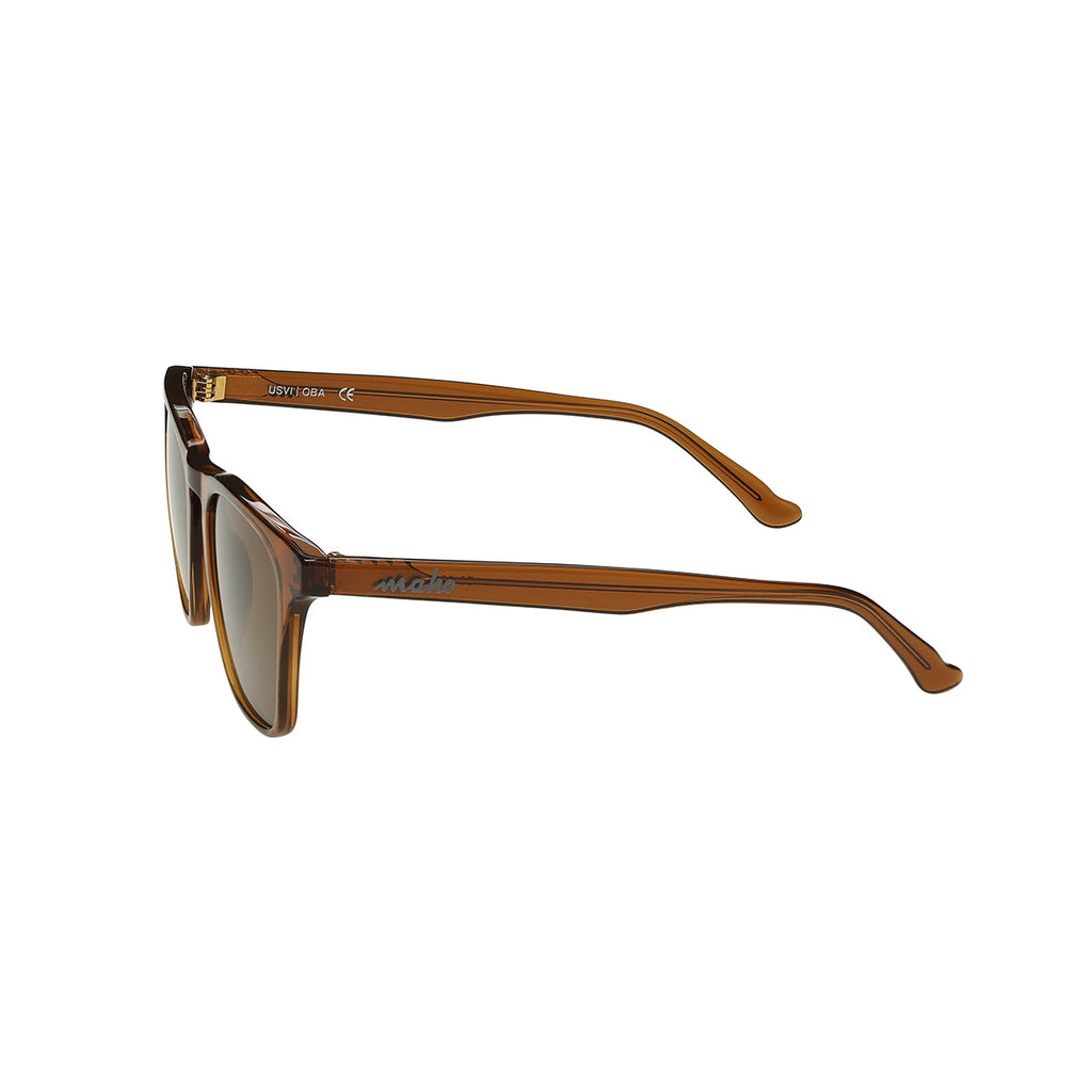 Fairhope Rootbeer Classic Wayfarer Sunglasses