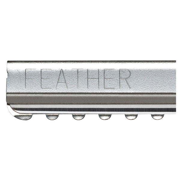 Feather Styling Razor Blades 30-Pack for Precision Hair Texturing