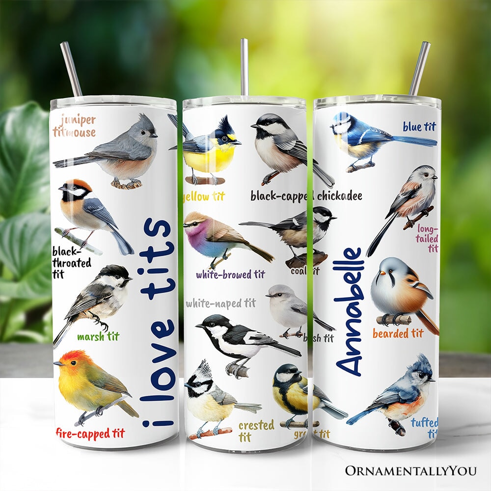 Whimsical 20oz tumbler with multicolored bird pattern and stainless steel straw