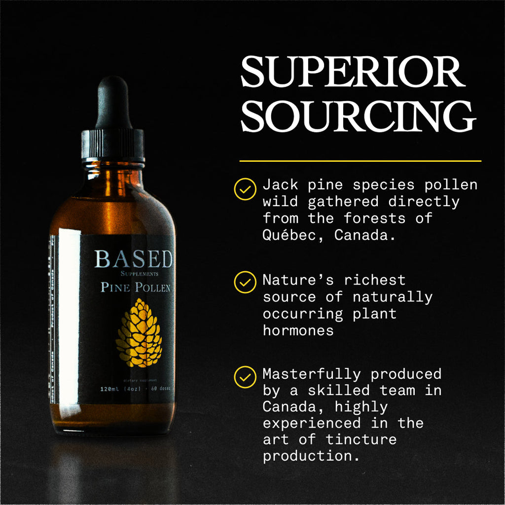 Wild Harvested Canadian Pine Pollen Liquid Extract 120ml - Image 7