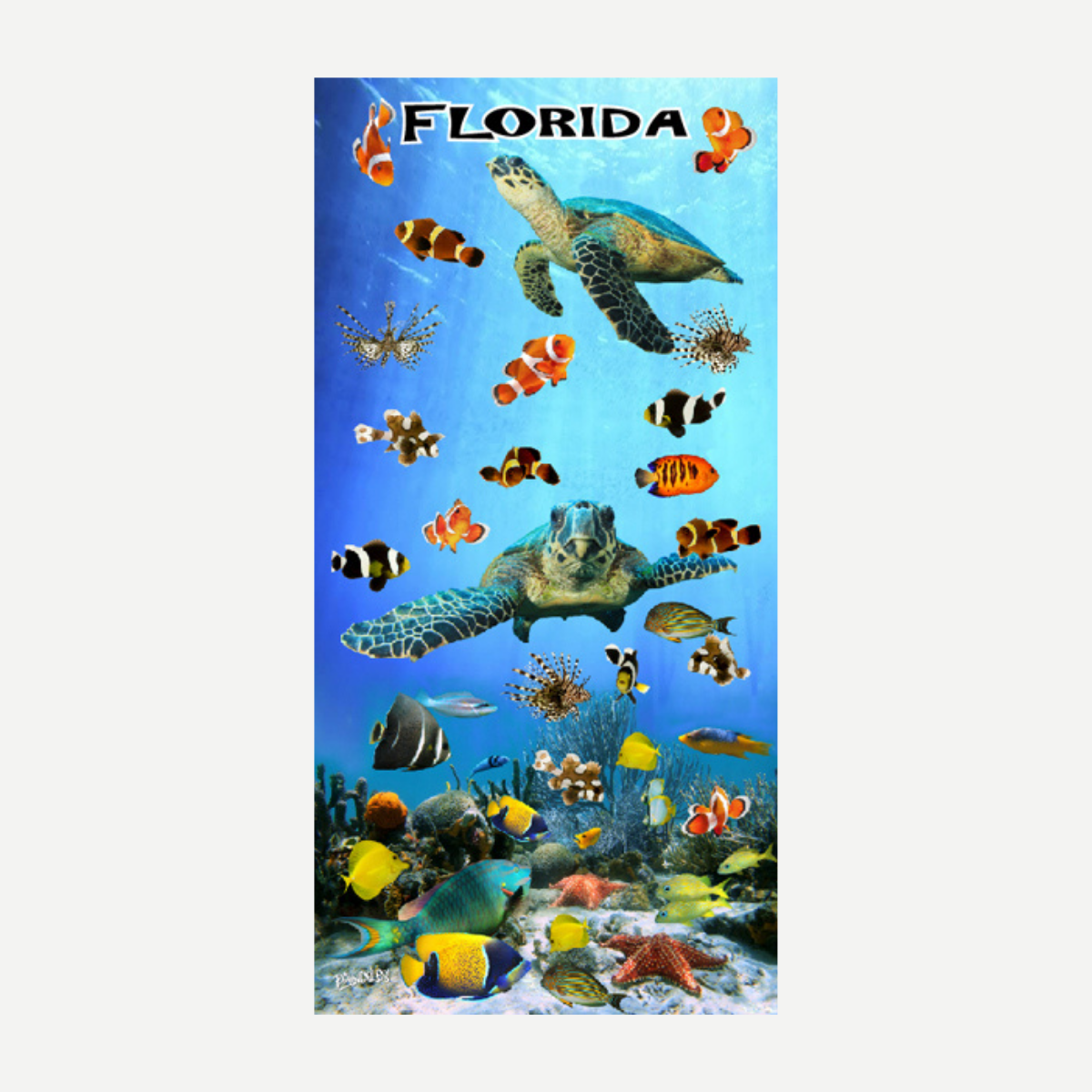 A colorful Florida beach towel featuring a sea turtle, clown fish, and various tropical fish swimming over a coral reef background.