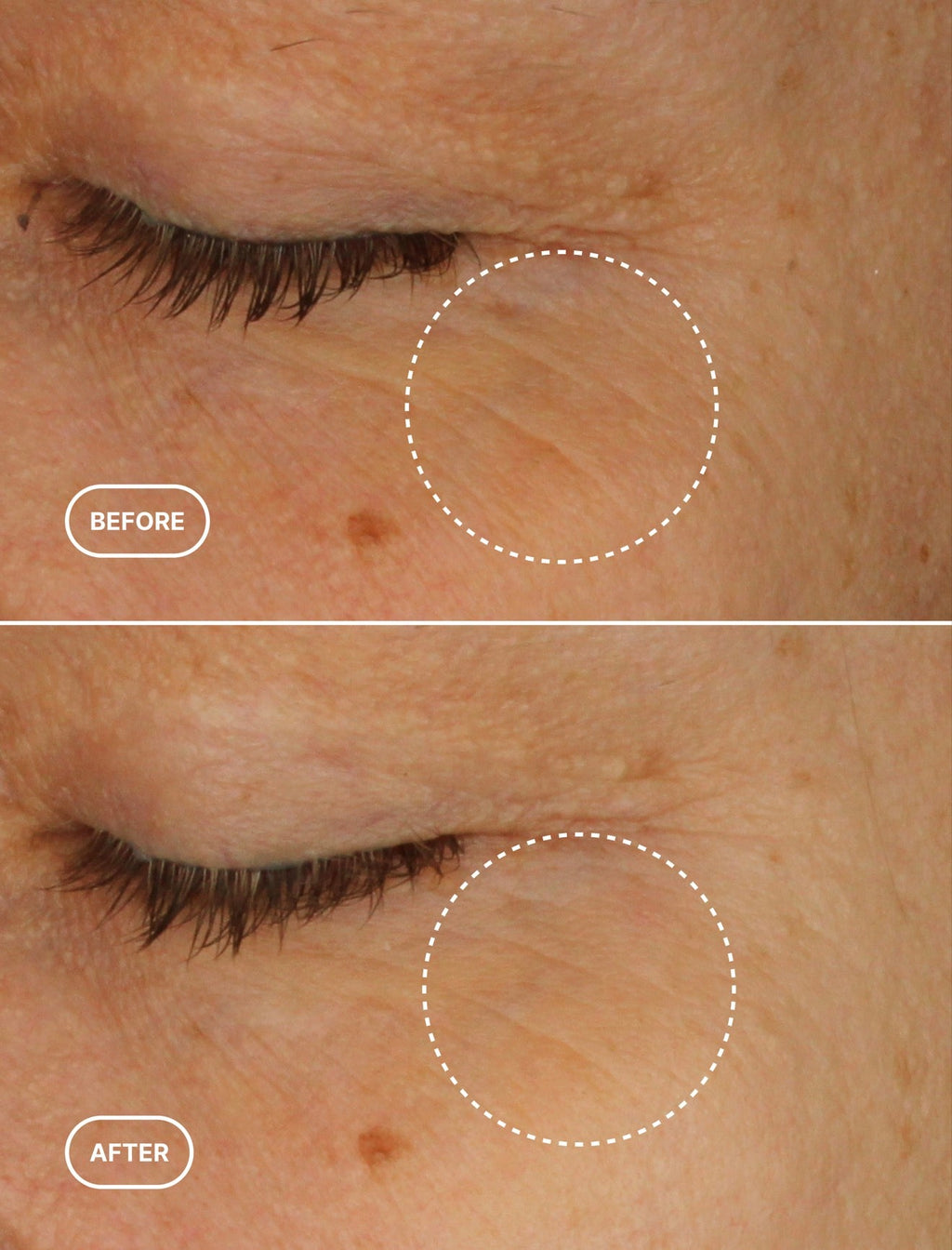 IVY & ONYX | Step 4: Firming Phyto-Retinol Eye Serum