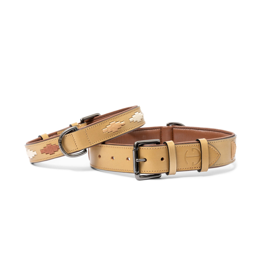 Gilded Solstice Leather Dog Collar