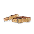 Gilded Solstice Leather Dog Collar