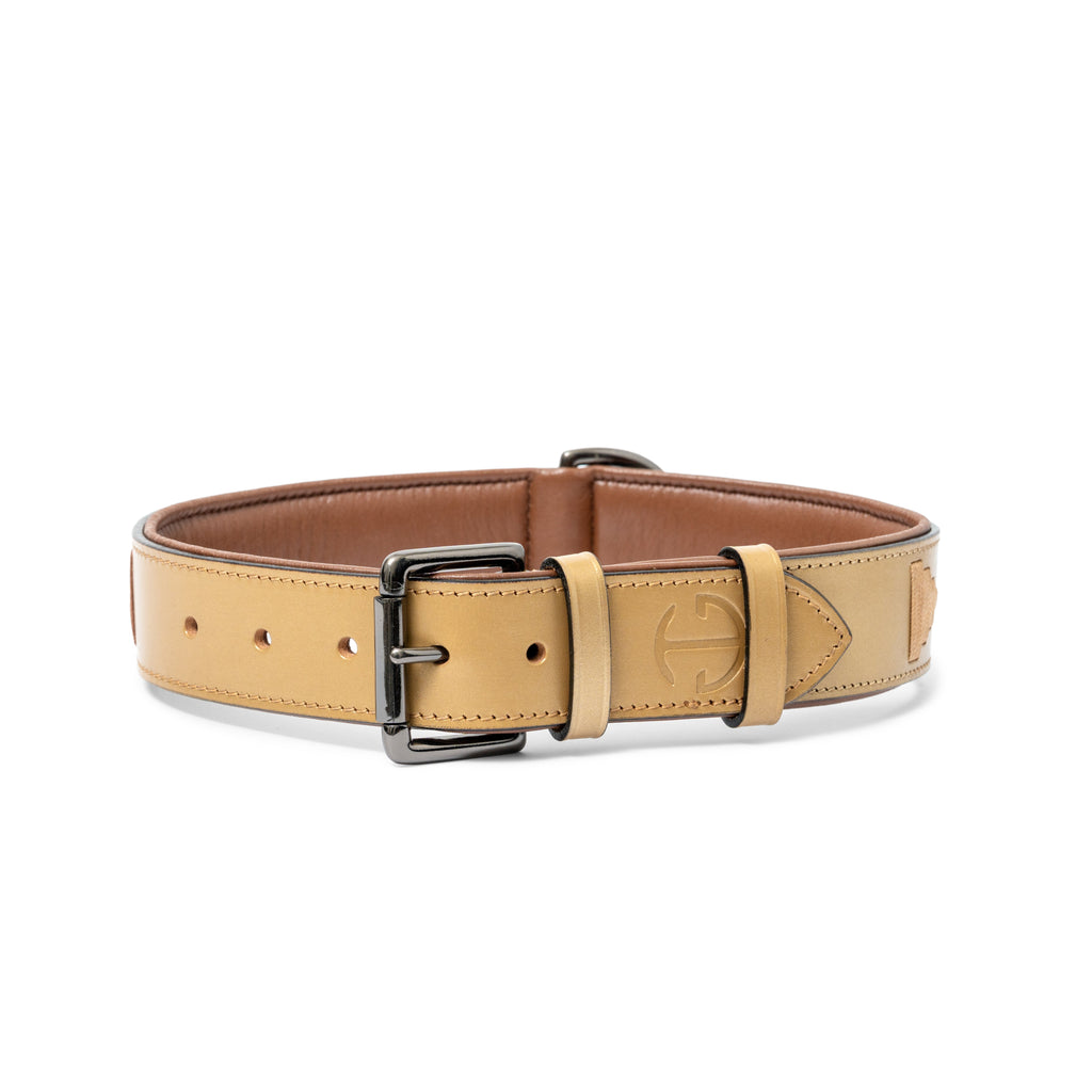 Gilded Solstice Leather Dog Collar