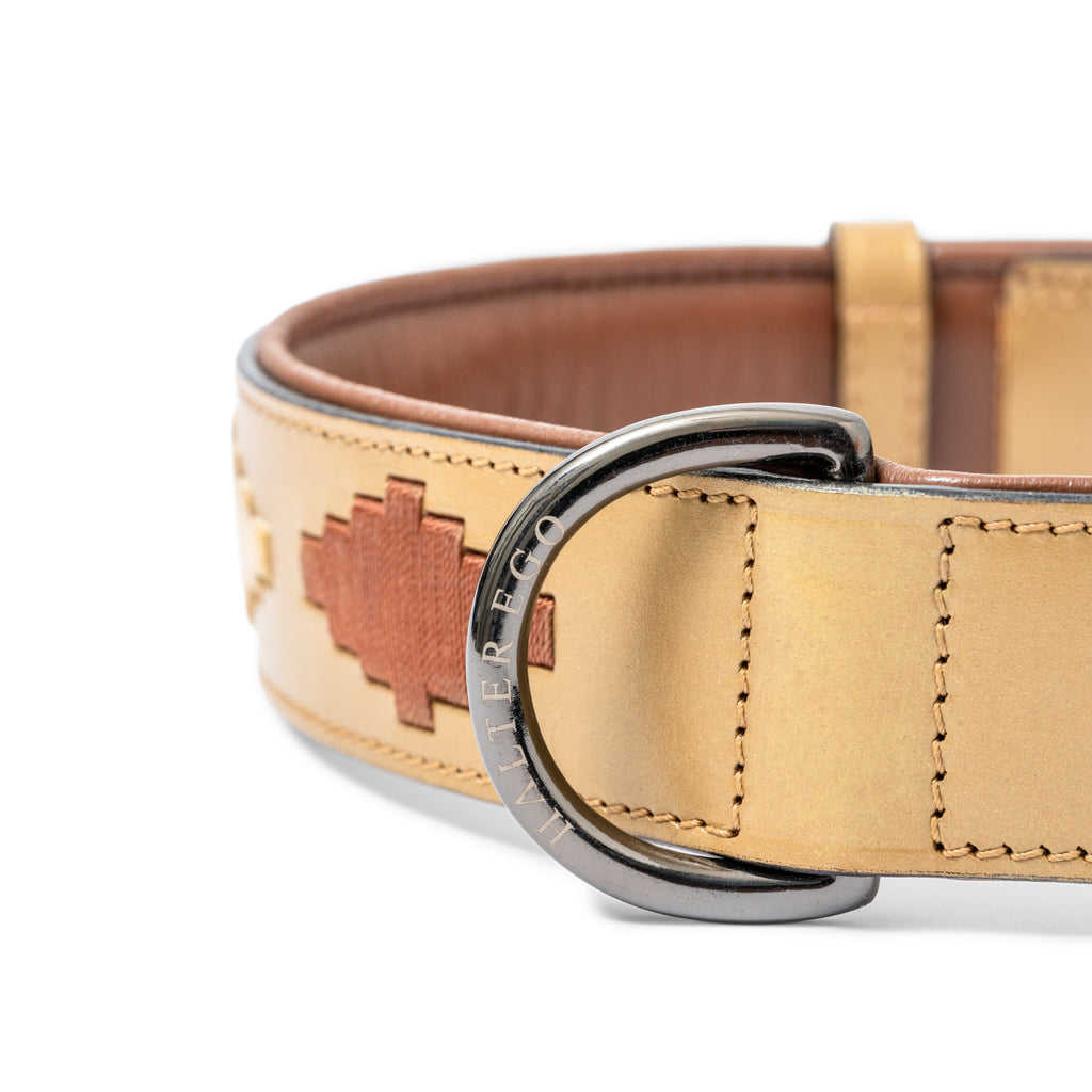 Gilded Solstice Leather Dog Collar