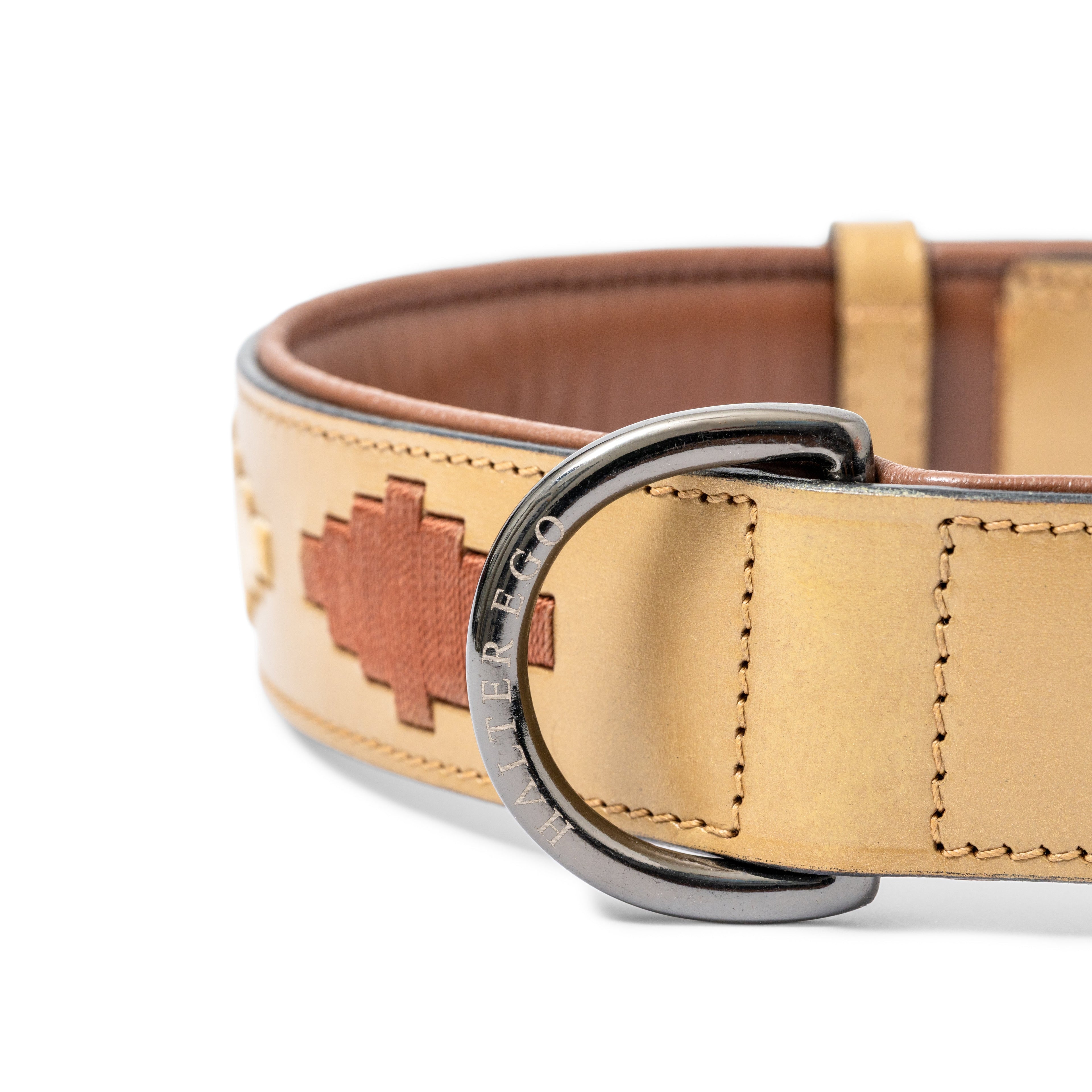 Gilded Solstice Leather Dog Collar