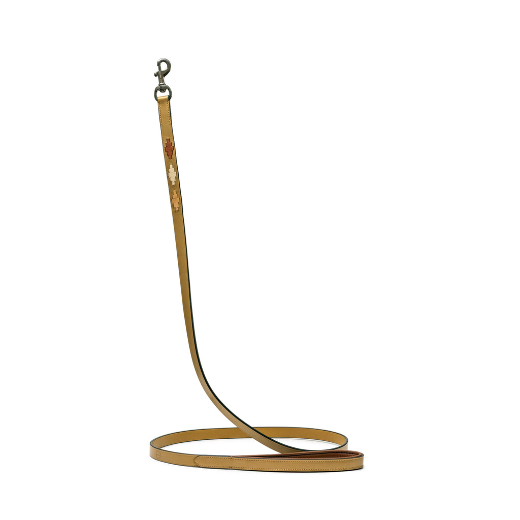The Gilded Solstice Leather Dog Leash
